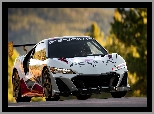 
Pikes Peak Race Car, Auta, Gran Turismo, Samochody, Sportowe, Acura NSX Type S