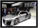 R8, Debiut