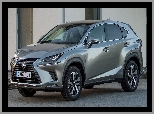 2017, Lexus NX, Hybryda