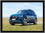 Niebieskie, Audi e-Tron 55 Quattro