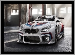 Samochód rajdowy, BMW M6 F13 GT3